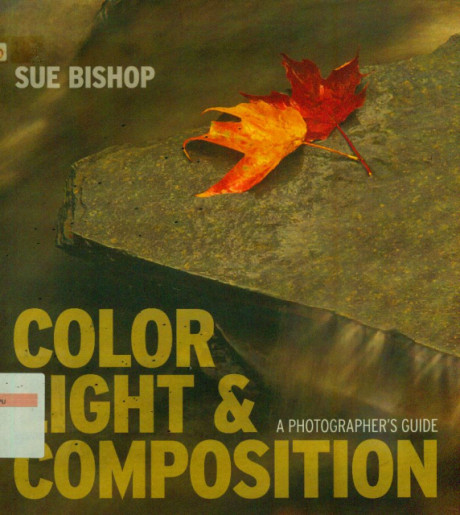 Color Light & Composition: A Photographer's Guide - Sue Bishop