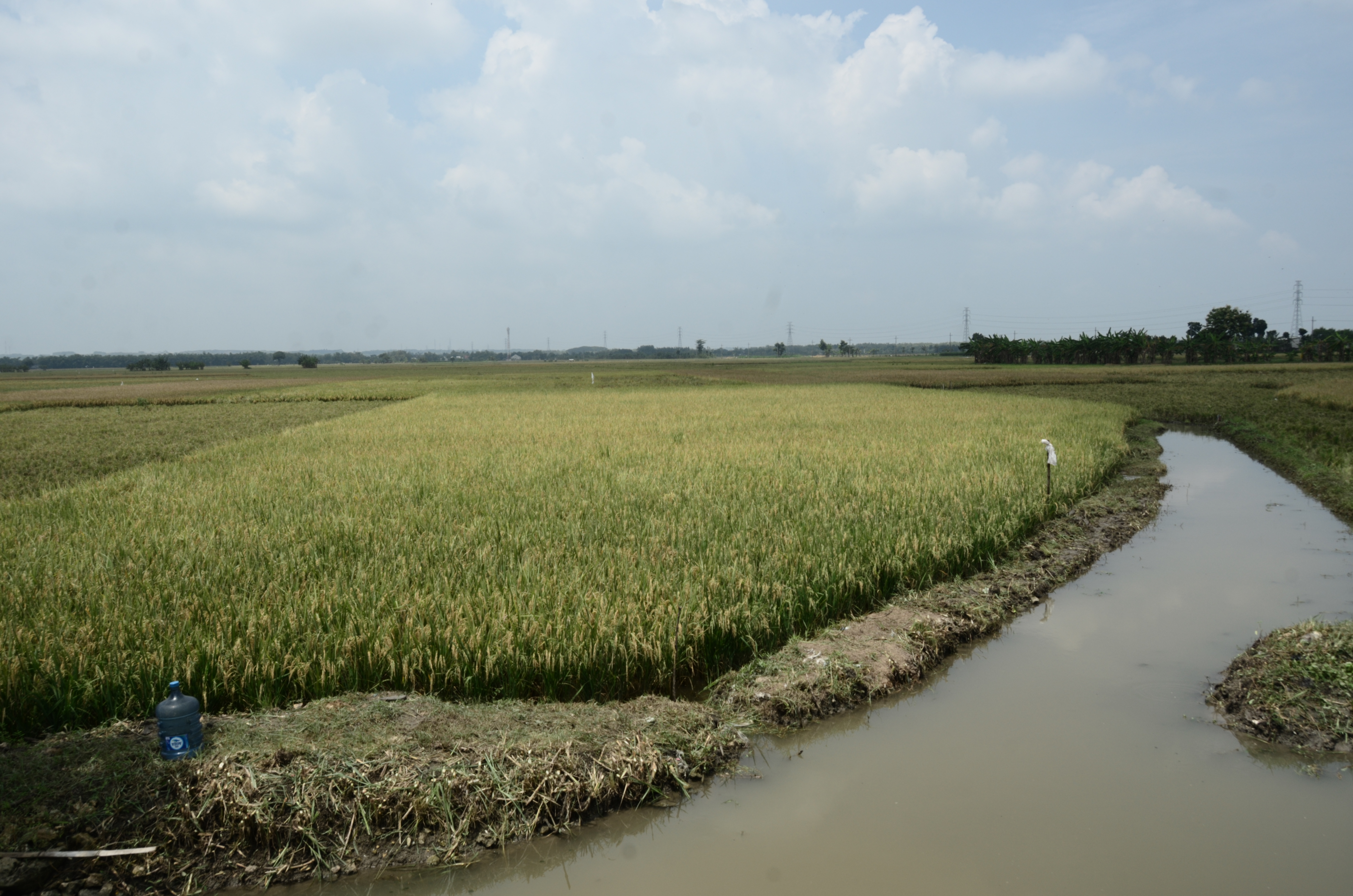 Pembangunan Fasilitas Karantina Covid-19